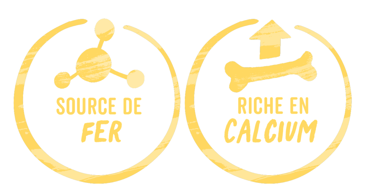 source de fer et riche en calcium